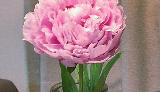 タイマー15分の効果