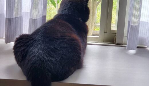ポジティブとネガティブは同じ方向を向いている