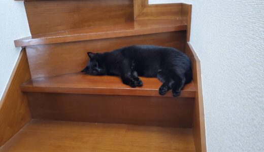 突き上げる気持ち
